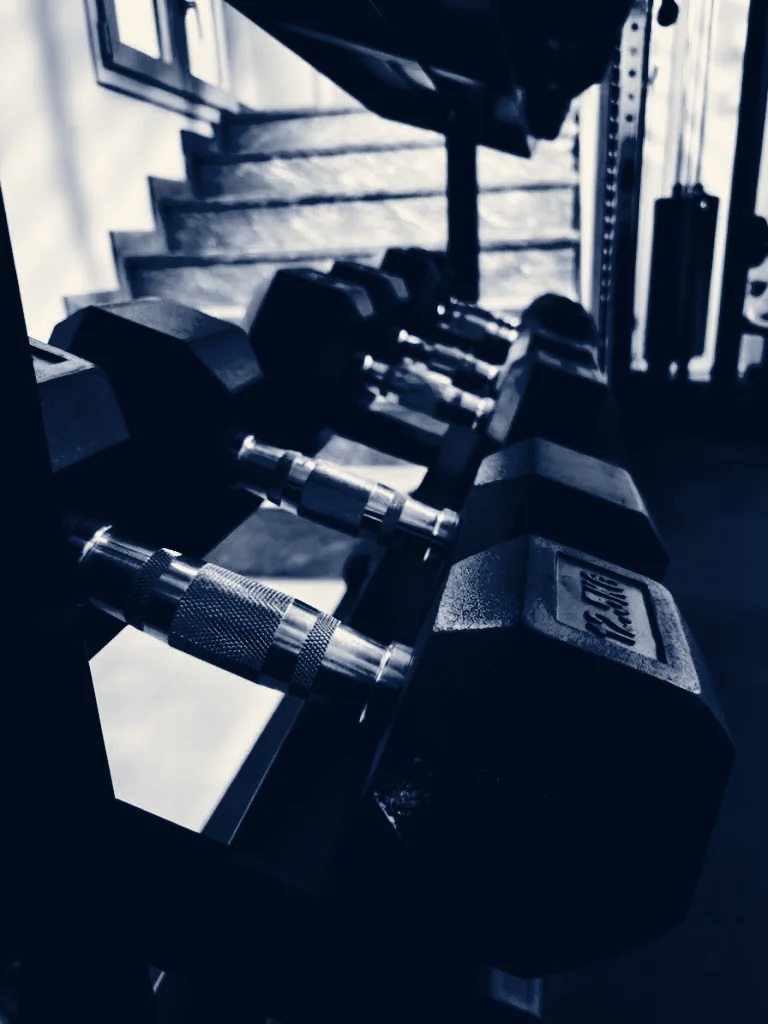 Manubri esagonali sul rack